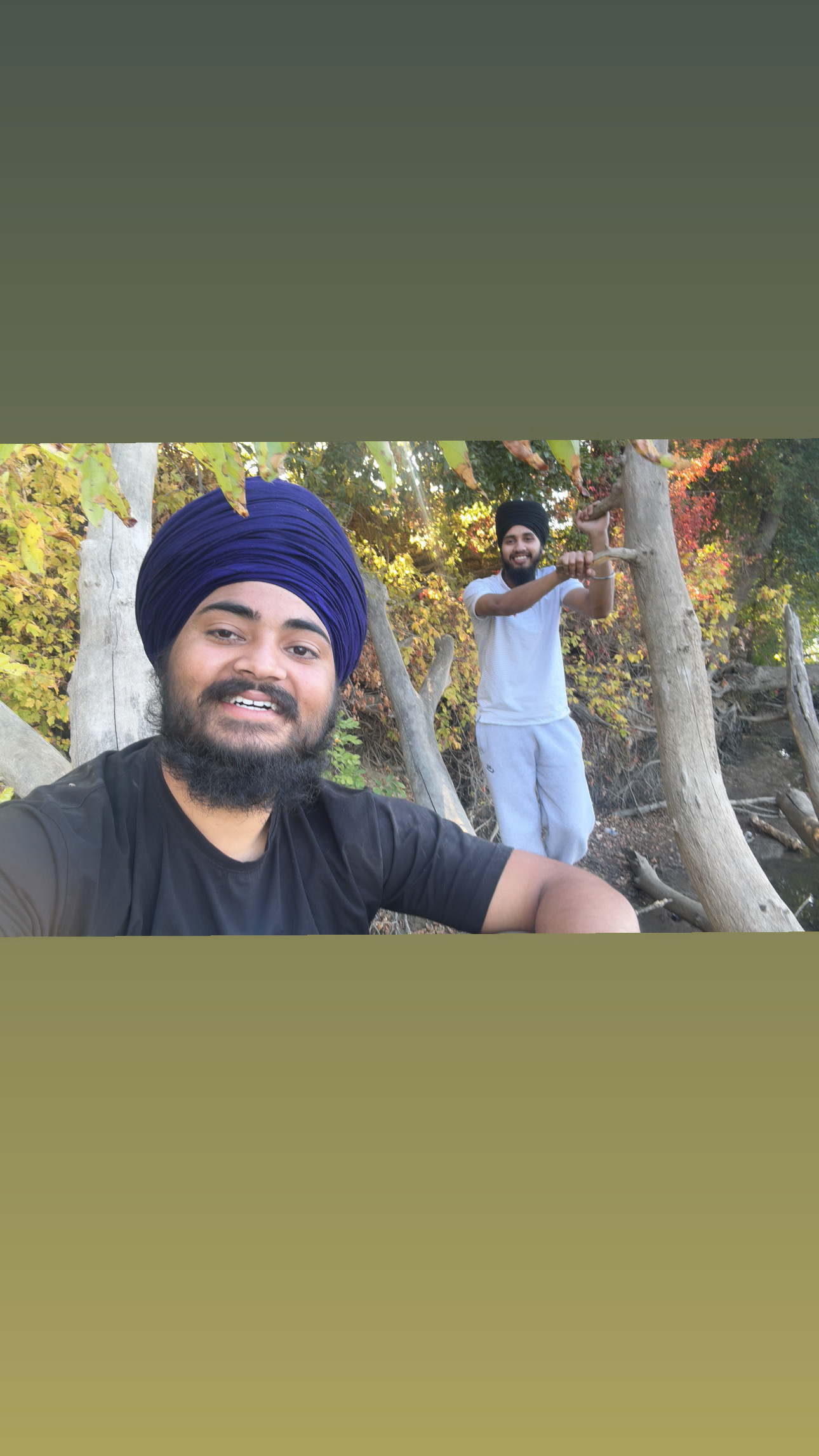 Singh logo