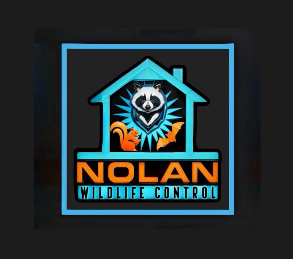 Nolan Wildlife Control, LLC logo