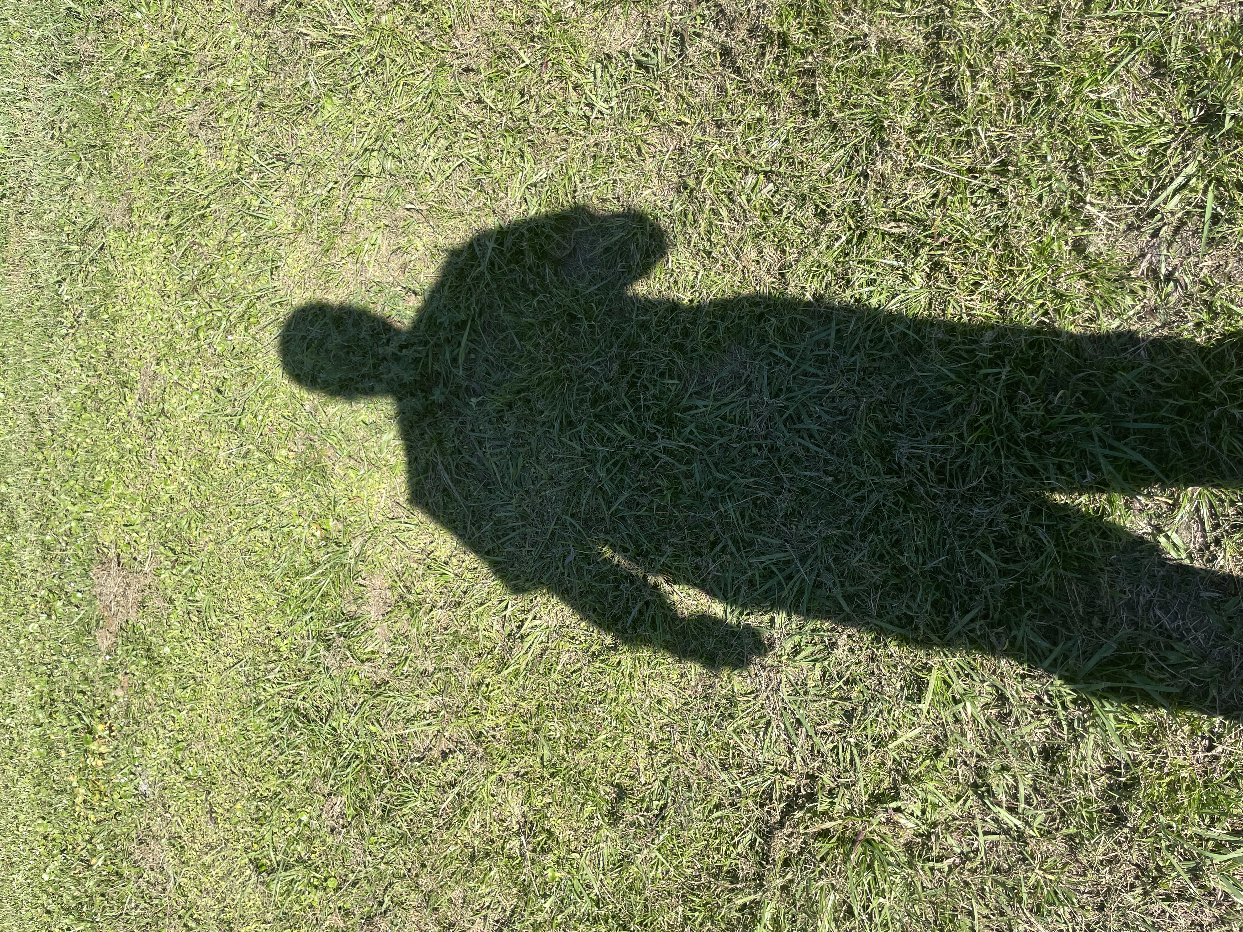 Avatar for Grass Masters