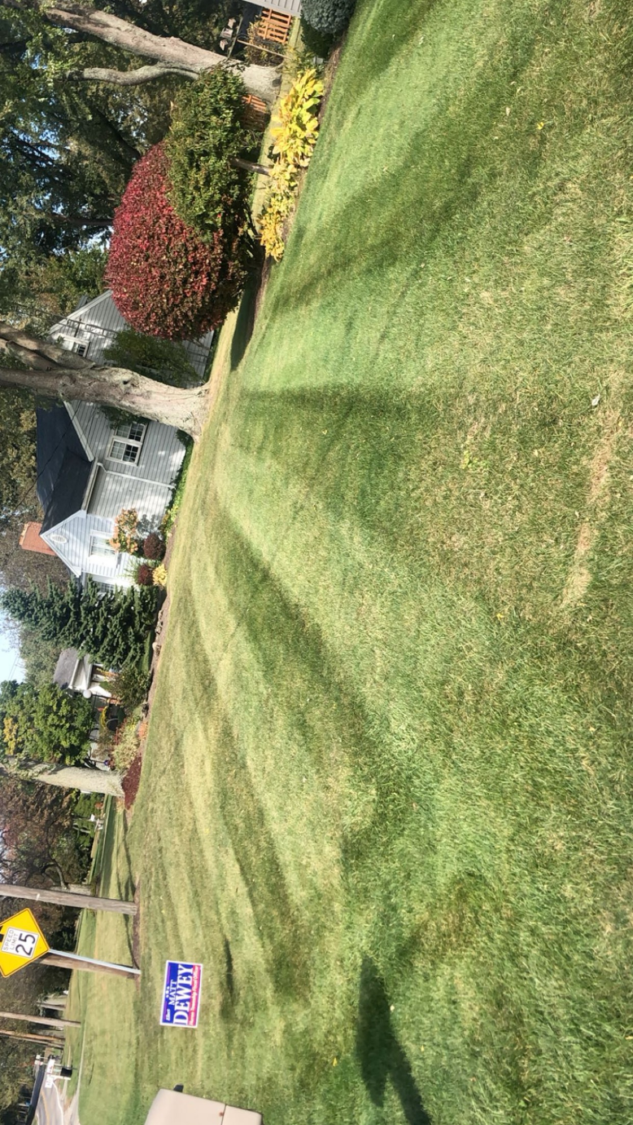LC Lawn Care logo