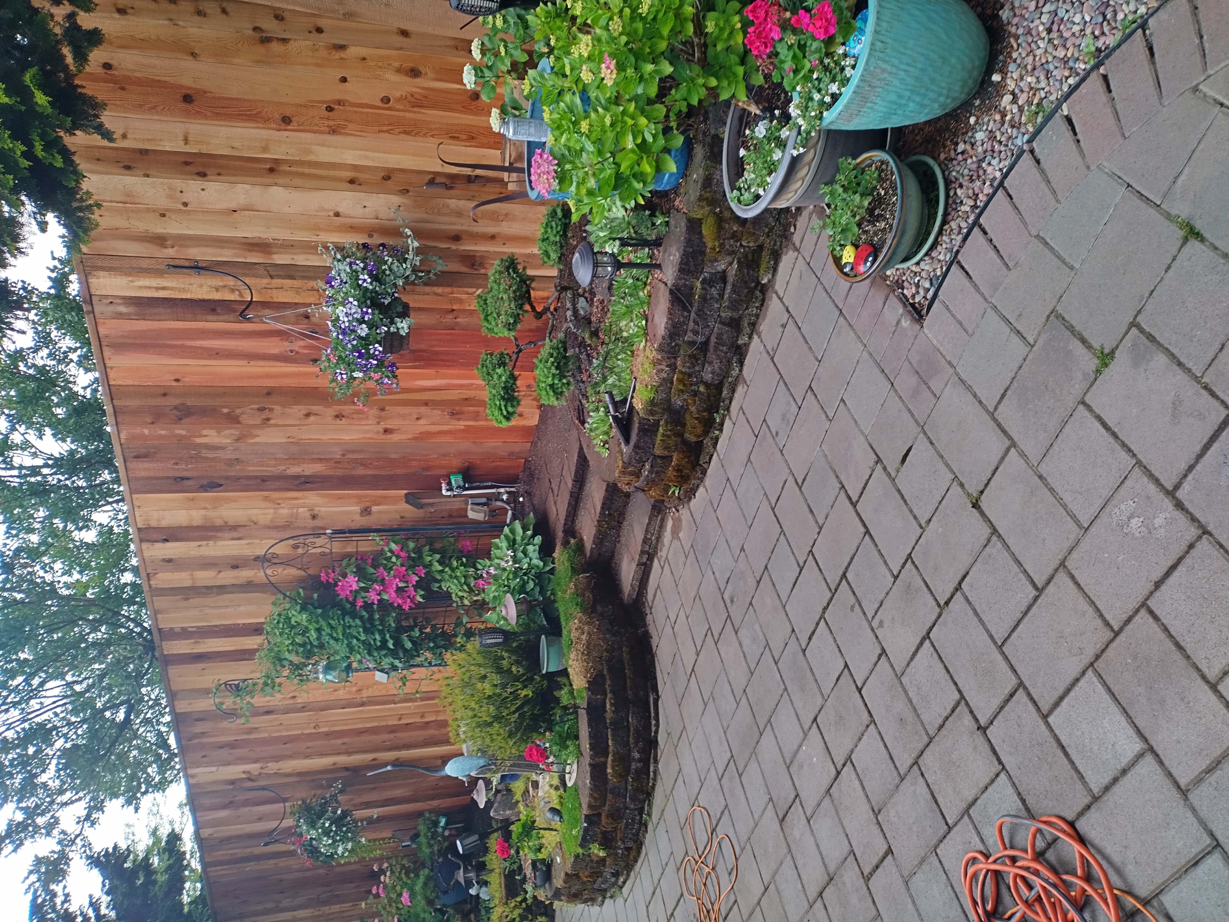 Avatar for Night and day fencing