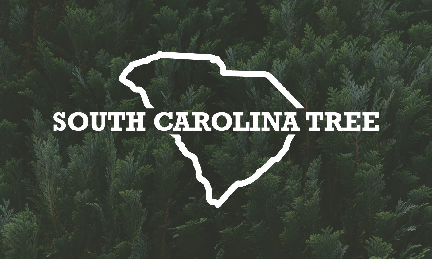 South Carolina Tree LLC logo