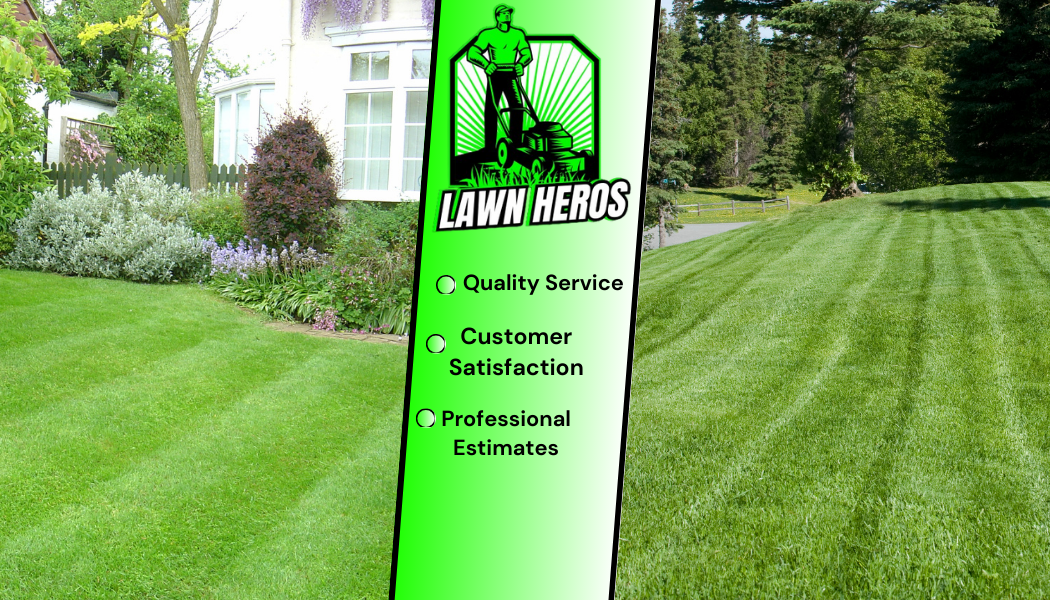 Avatar for Lawn Heros LLC