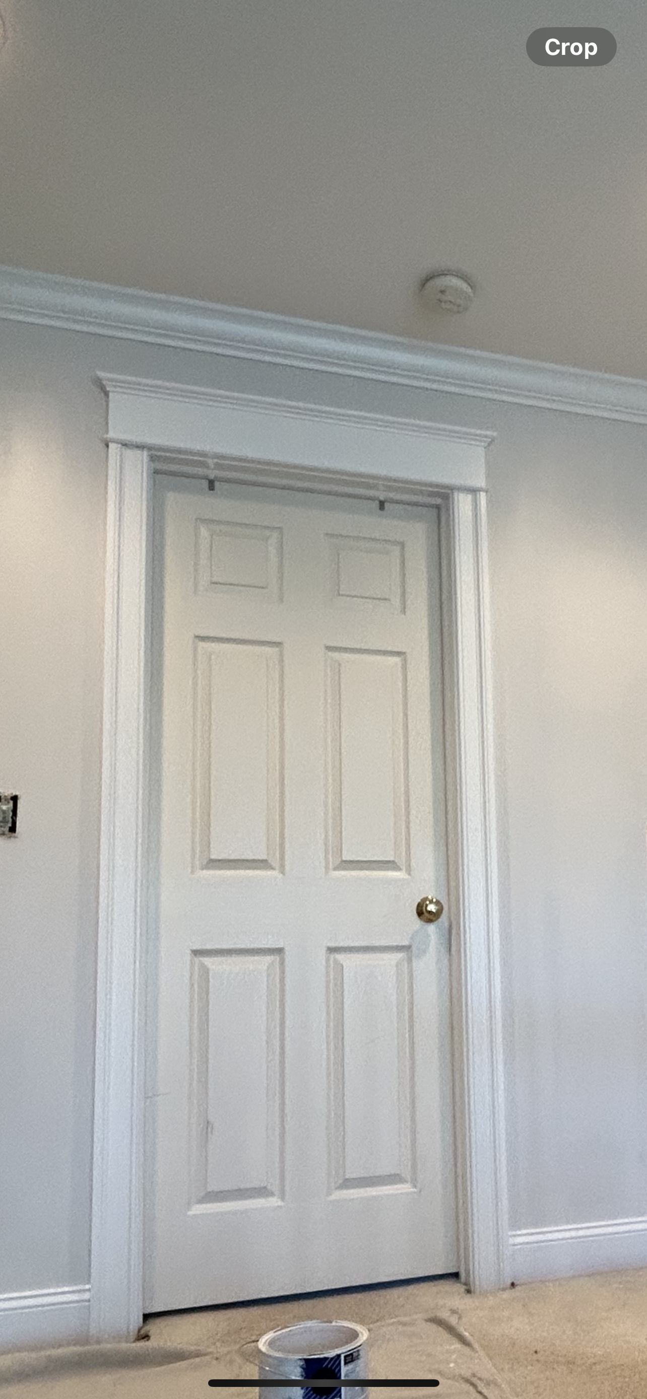 Avatar for Nelsonfloor