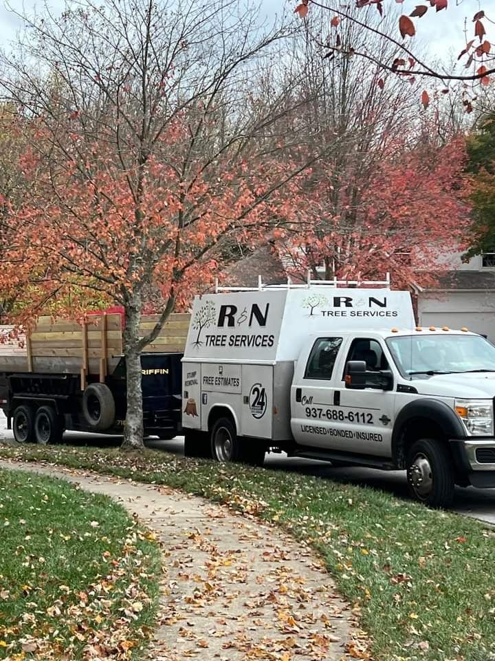 R and N tree and mulch logo