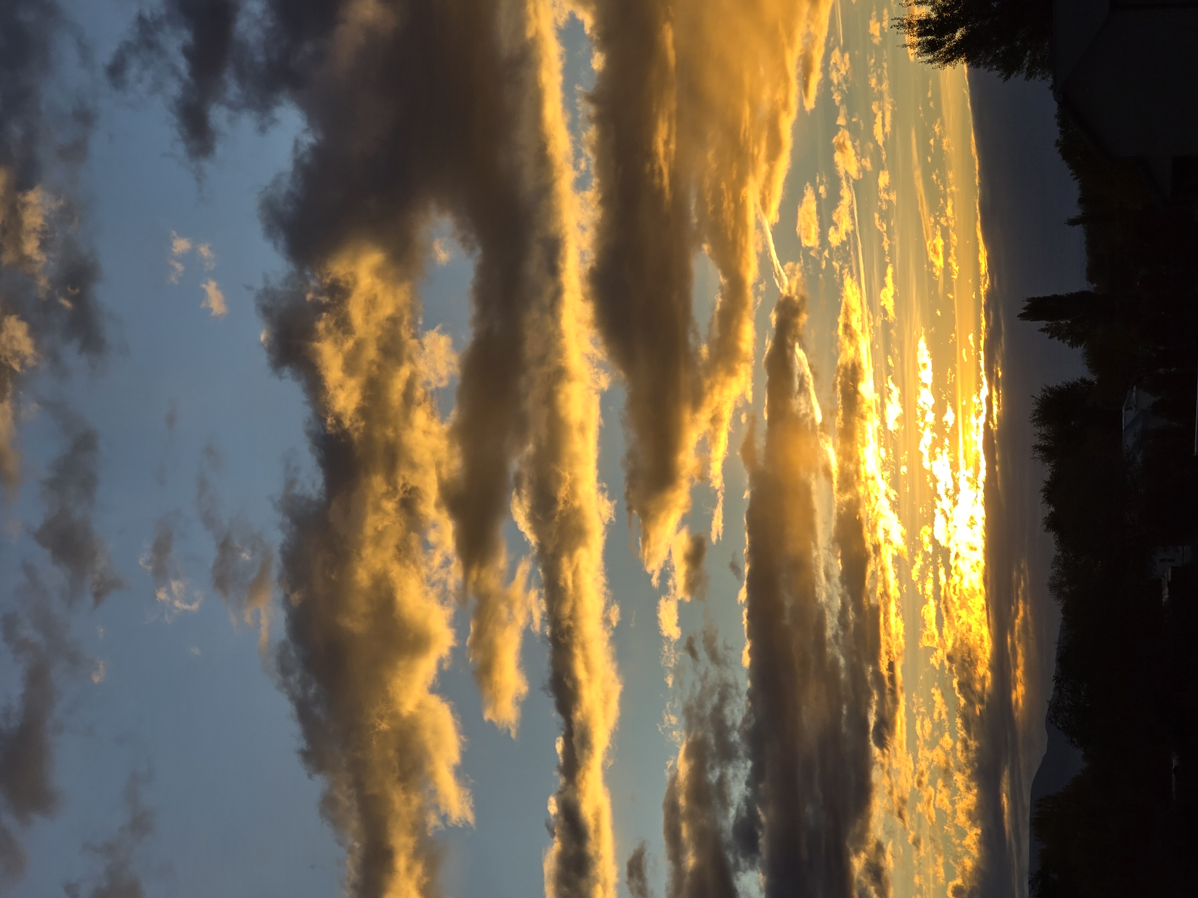 Avatar for Justin garber