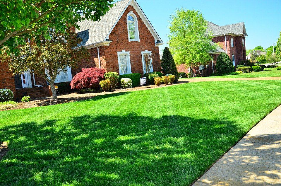 Rxch lawn care logo