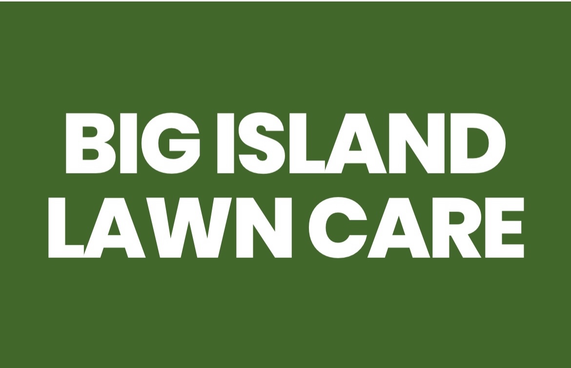 Big Island Lawn Care logo