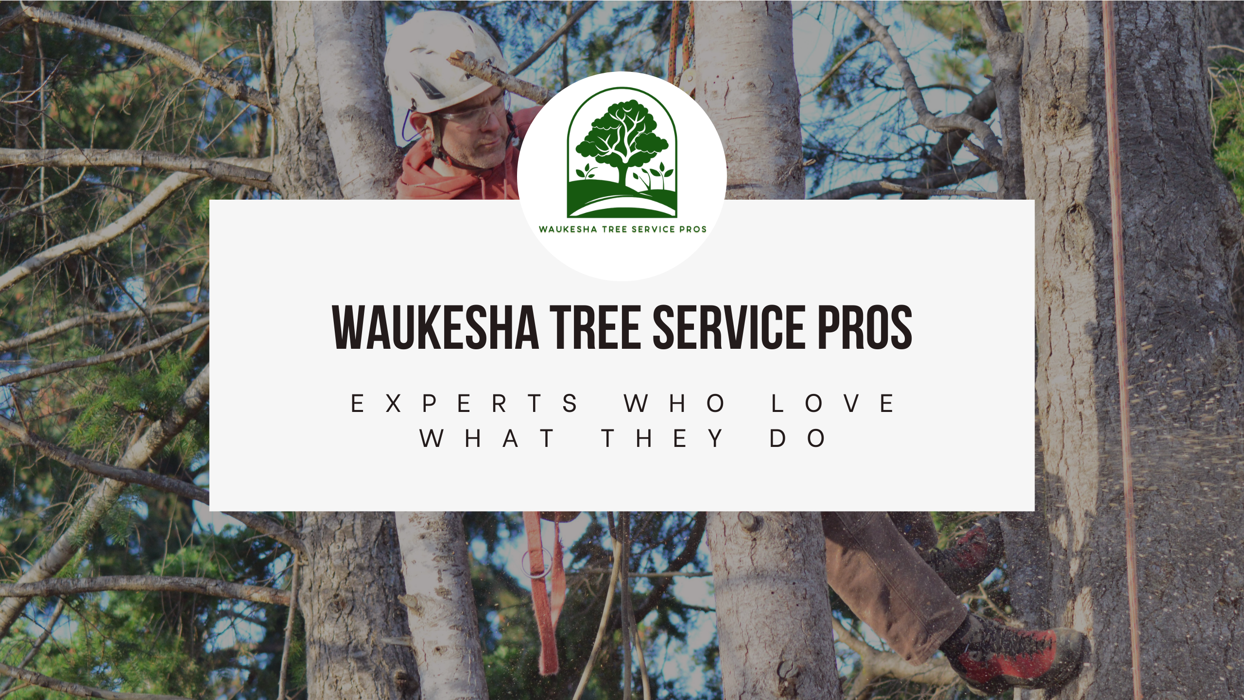 Avatar for Waukesha Tree Service Pros