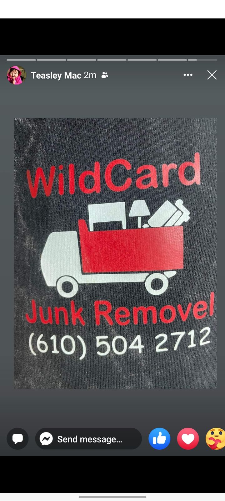 Wildcard junk removal logo