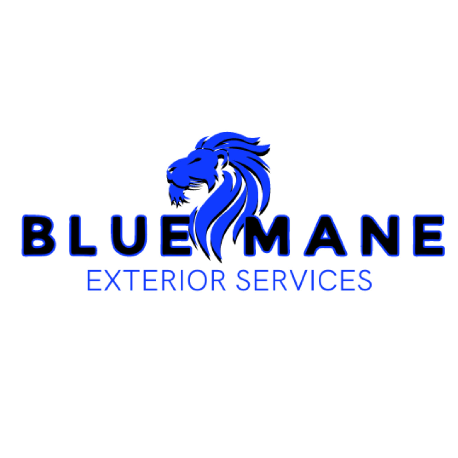 Blue Mane Exterior Services logo