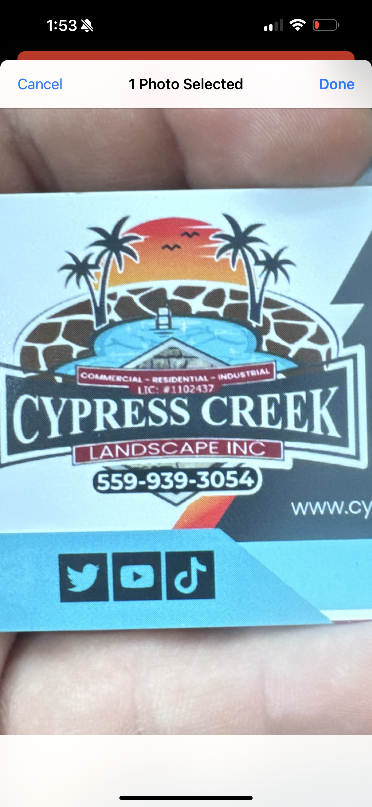 Cypress Creek Landscape logo