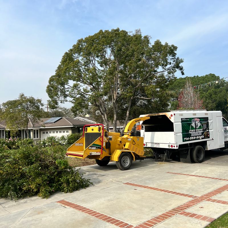 Gnz Tree Experts Inc logo