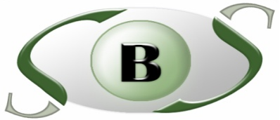 SEEDNA Business Surveillance logo