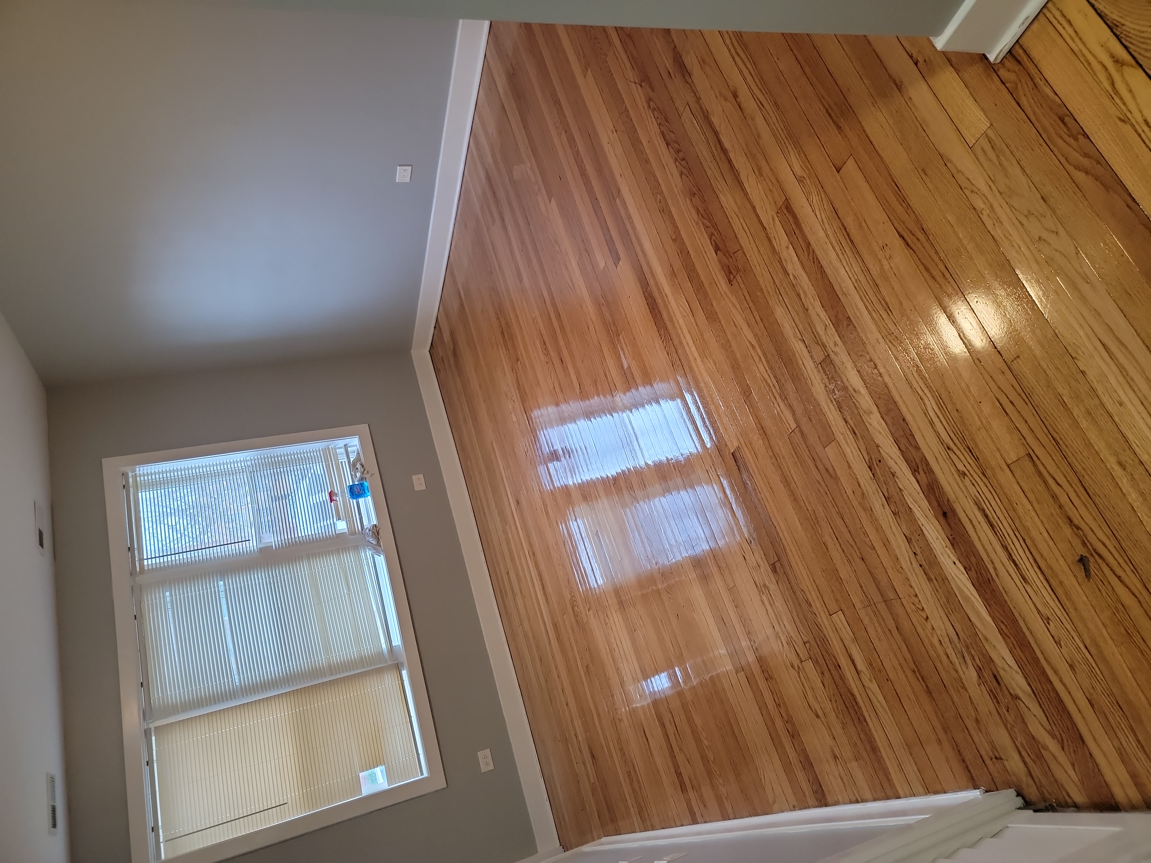 Avatar for Francisco