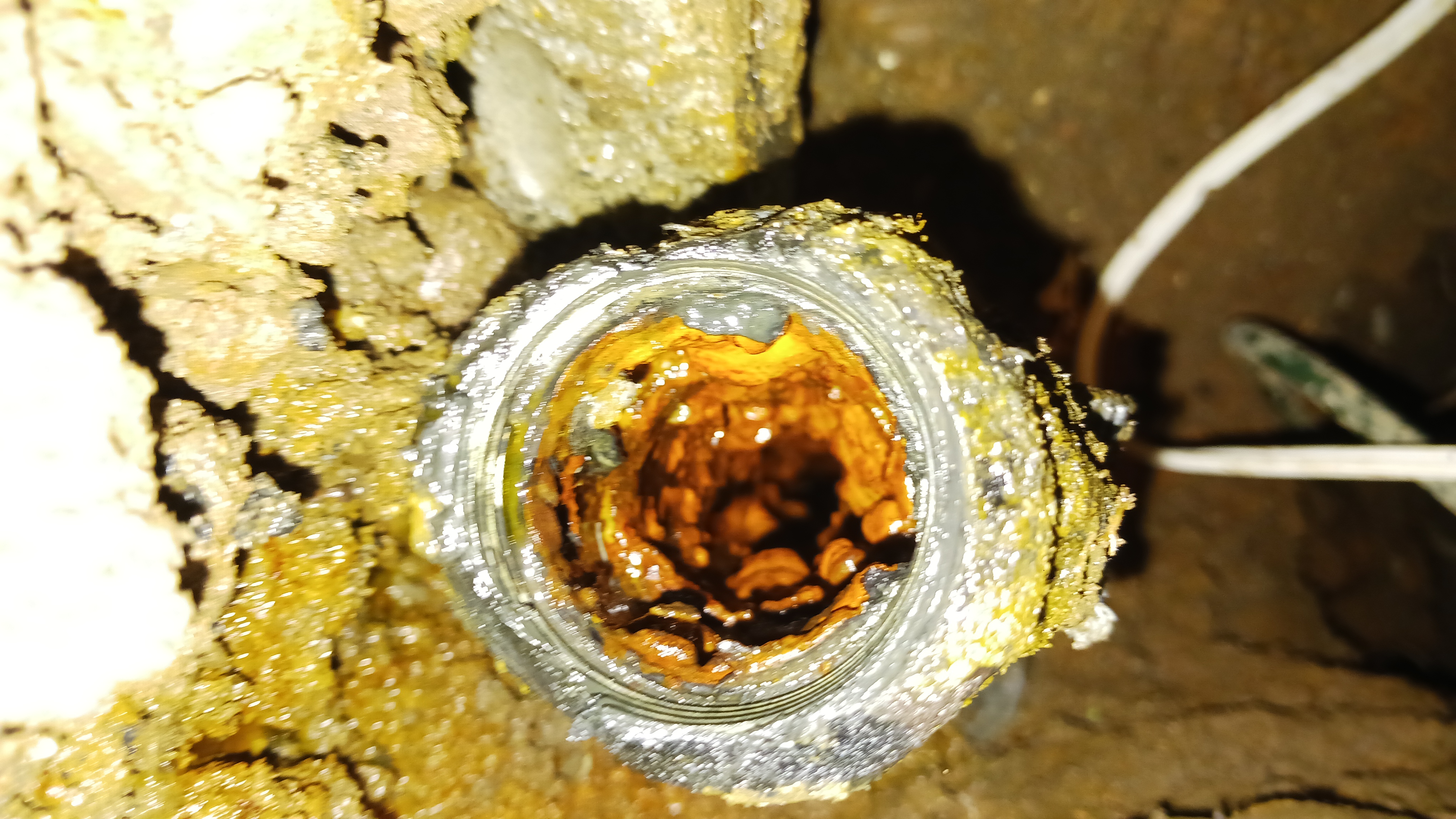 Avatar for Dave's Plumbing & Maintenance.