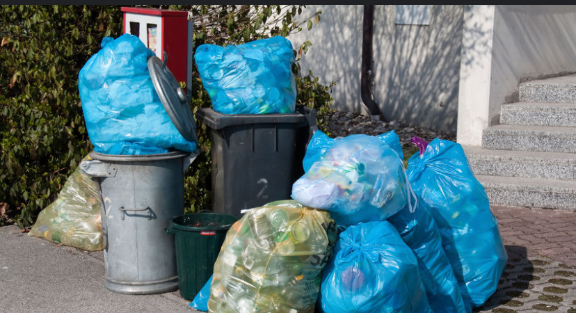 Brian garbage mover logo