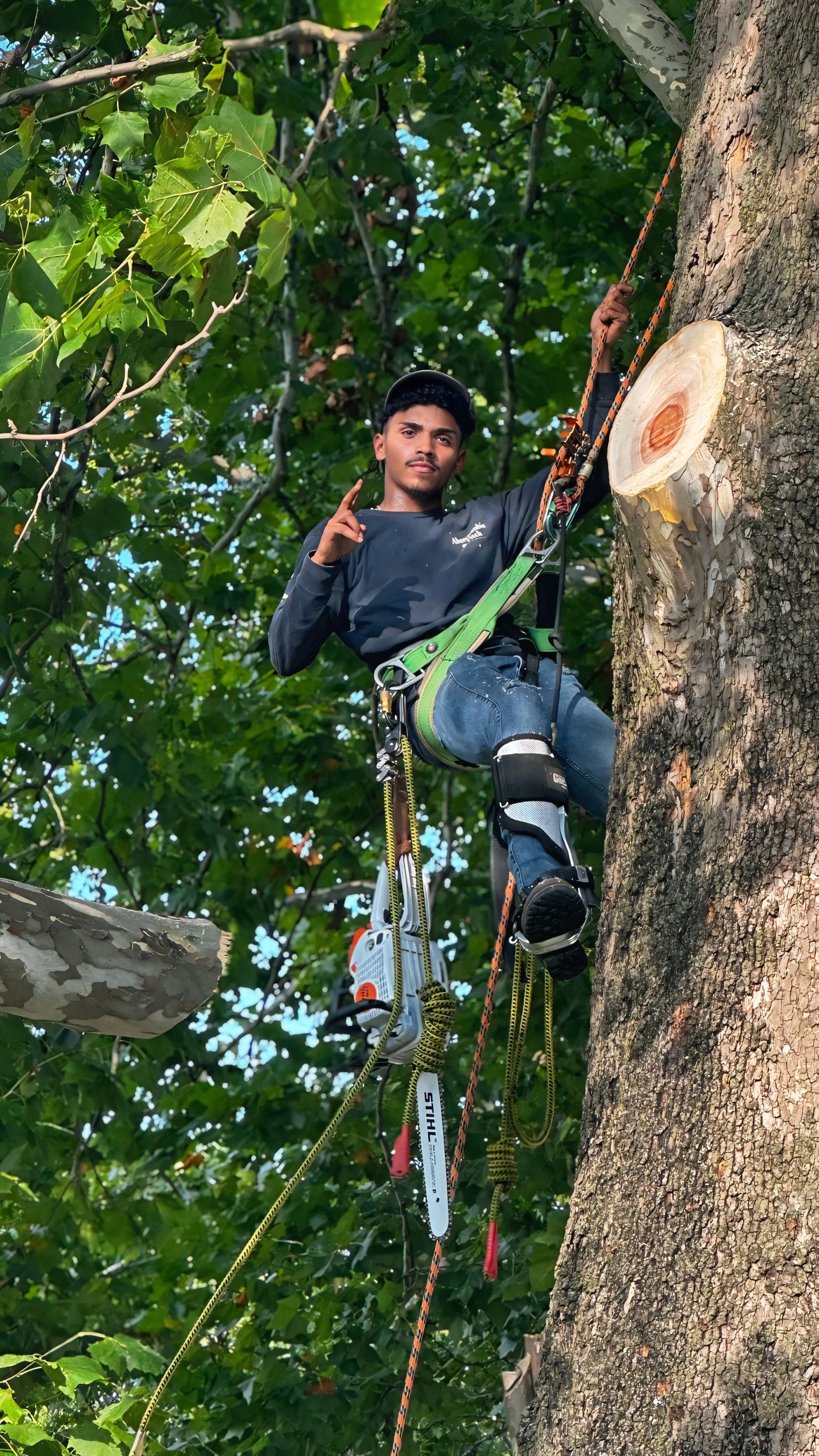 Avatar for JayyTree