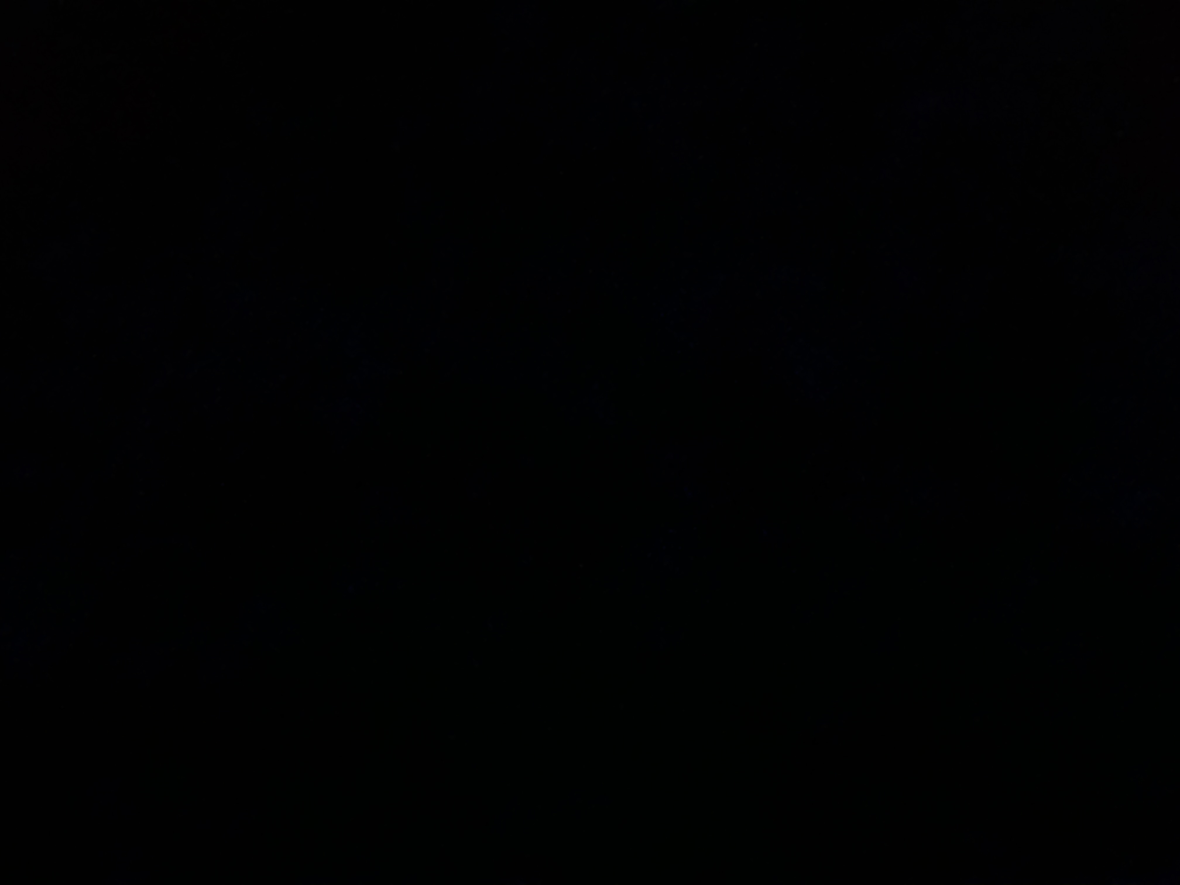 Riester industries logo