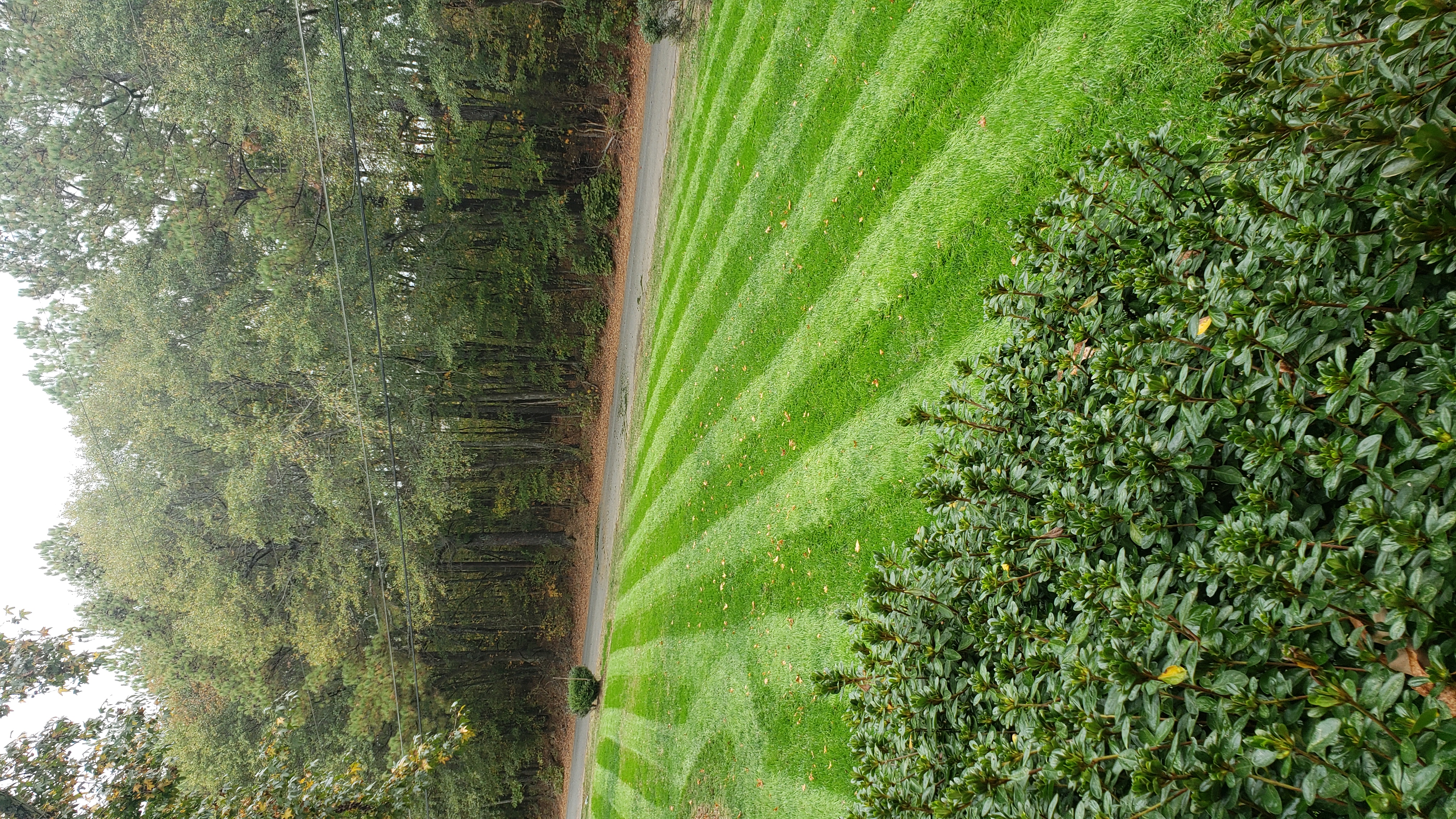 Avatar for Mays on fire landscaping