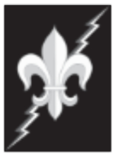 FDL Electric logo