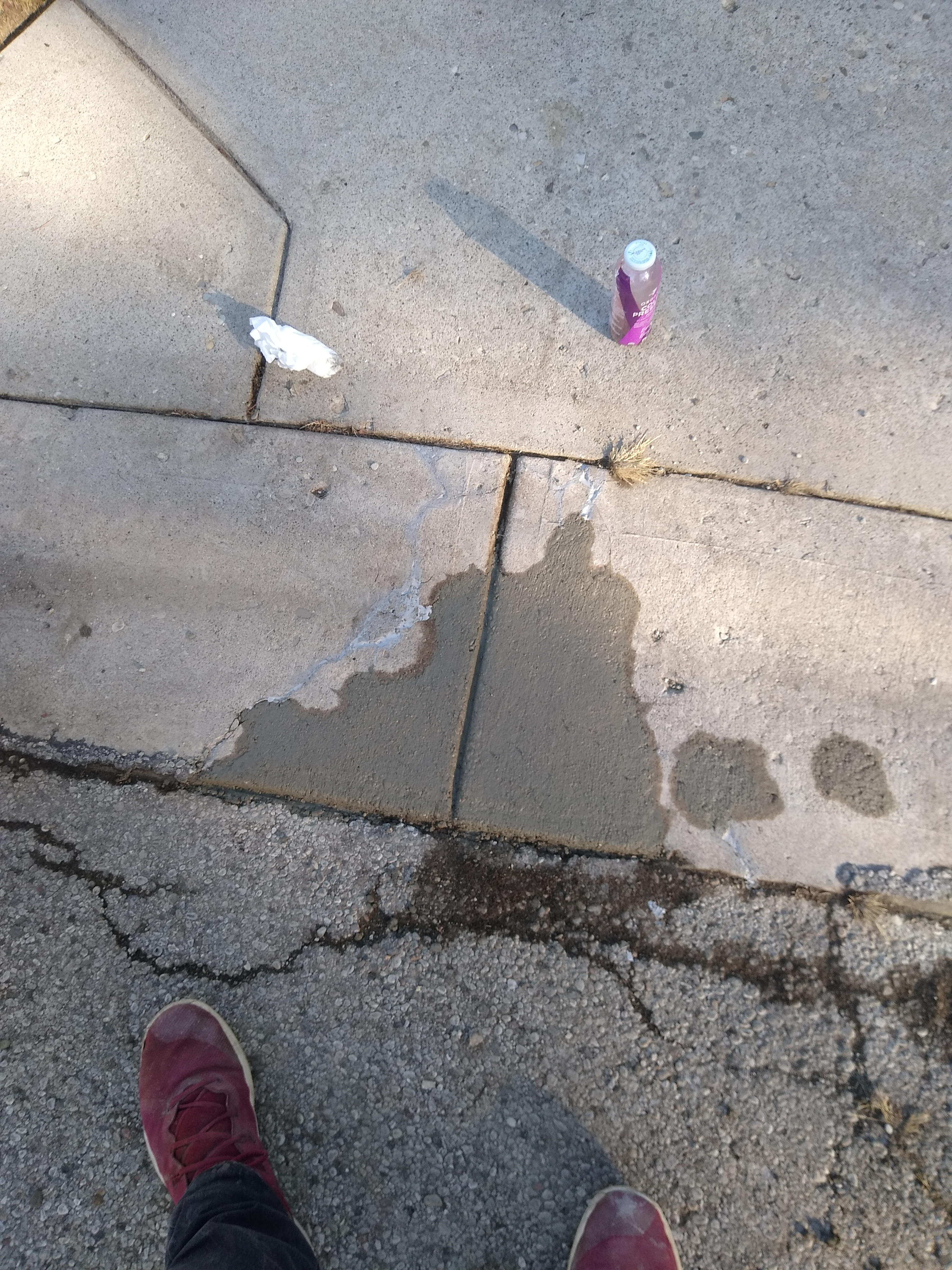 Avatar for GMGAC LLC