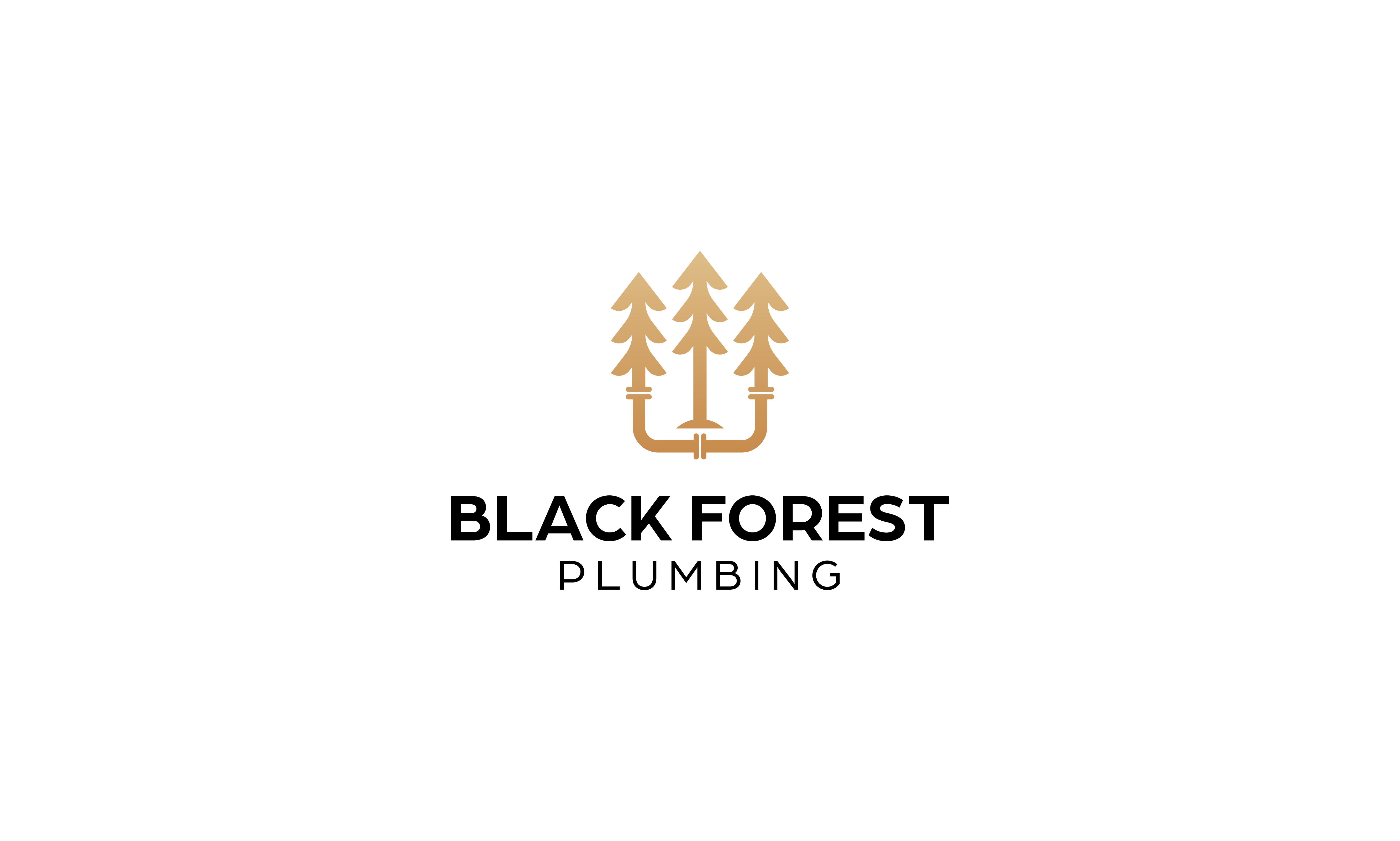 Avatar for Black Forest Plumbing
