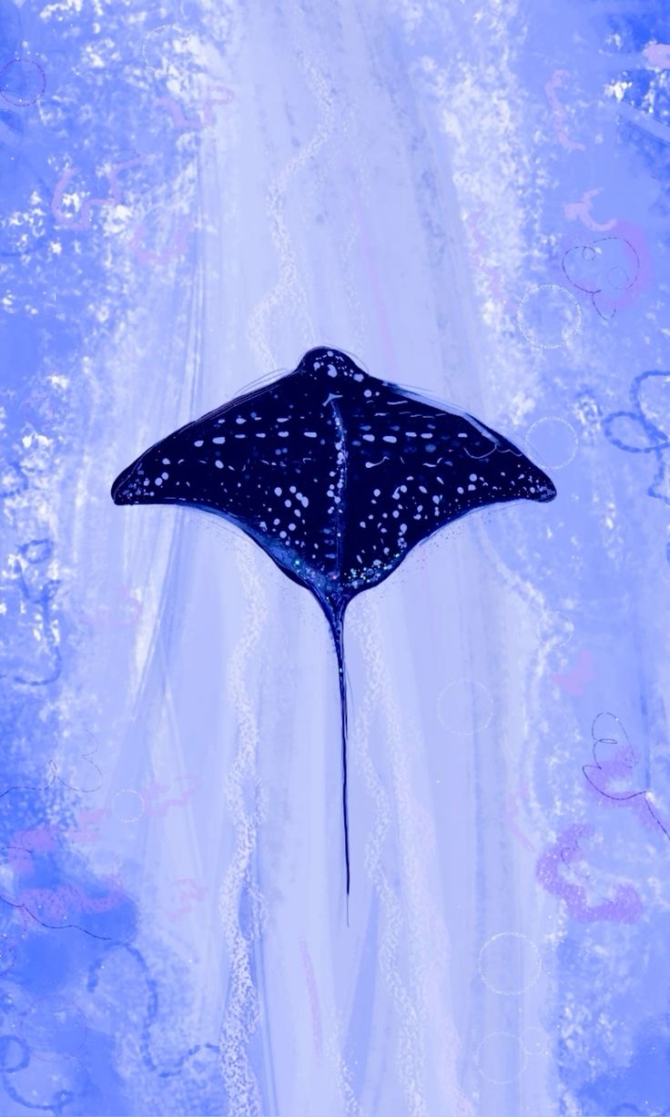 Avatar for Kayzkleaning