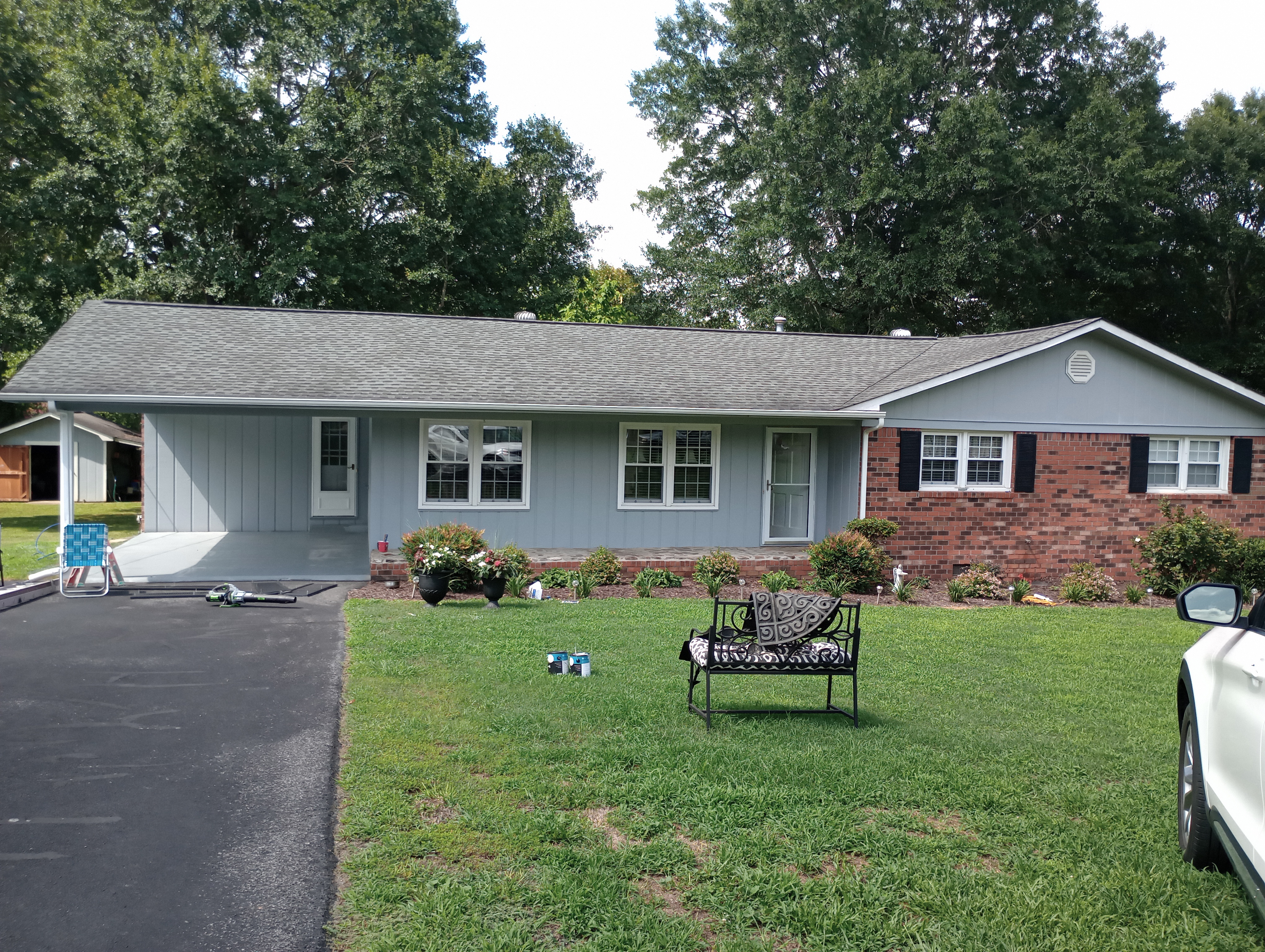 Avatar for Butterfly painters