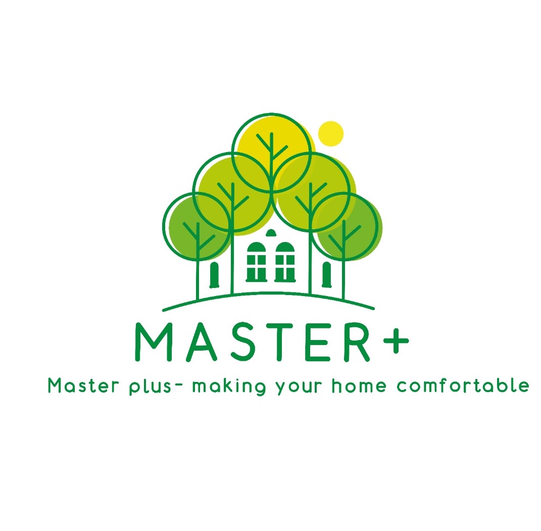 Master plus logo