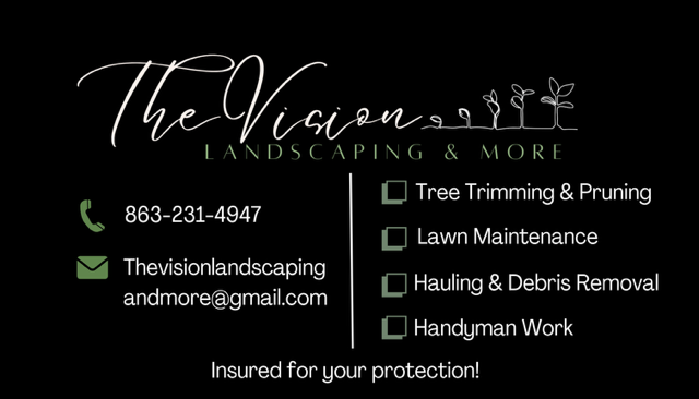 The Vision Landscaping & More logo