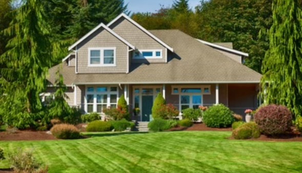 Avatar for Well Groomed Yard