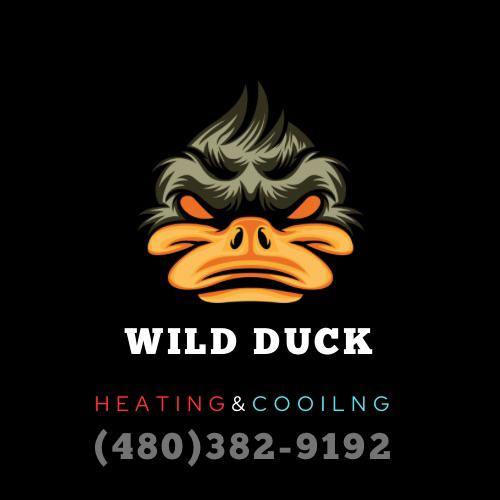 Wild duct heating and cooling logo