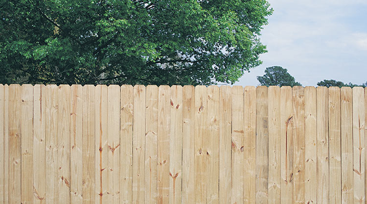 Avatar for Tase fence solution