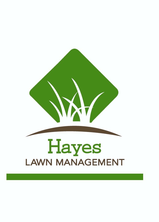 Hayes Lawn Management, LLC logo
