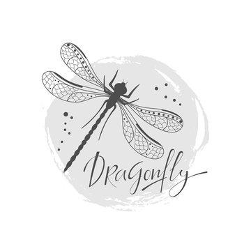 Avatar for Dragonfly Renovations, LLC