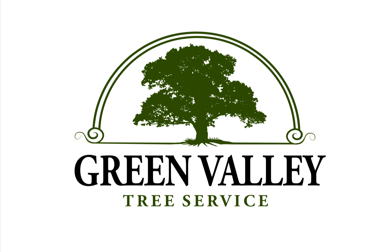 Avatar for Green Valley Tree Service Inc
