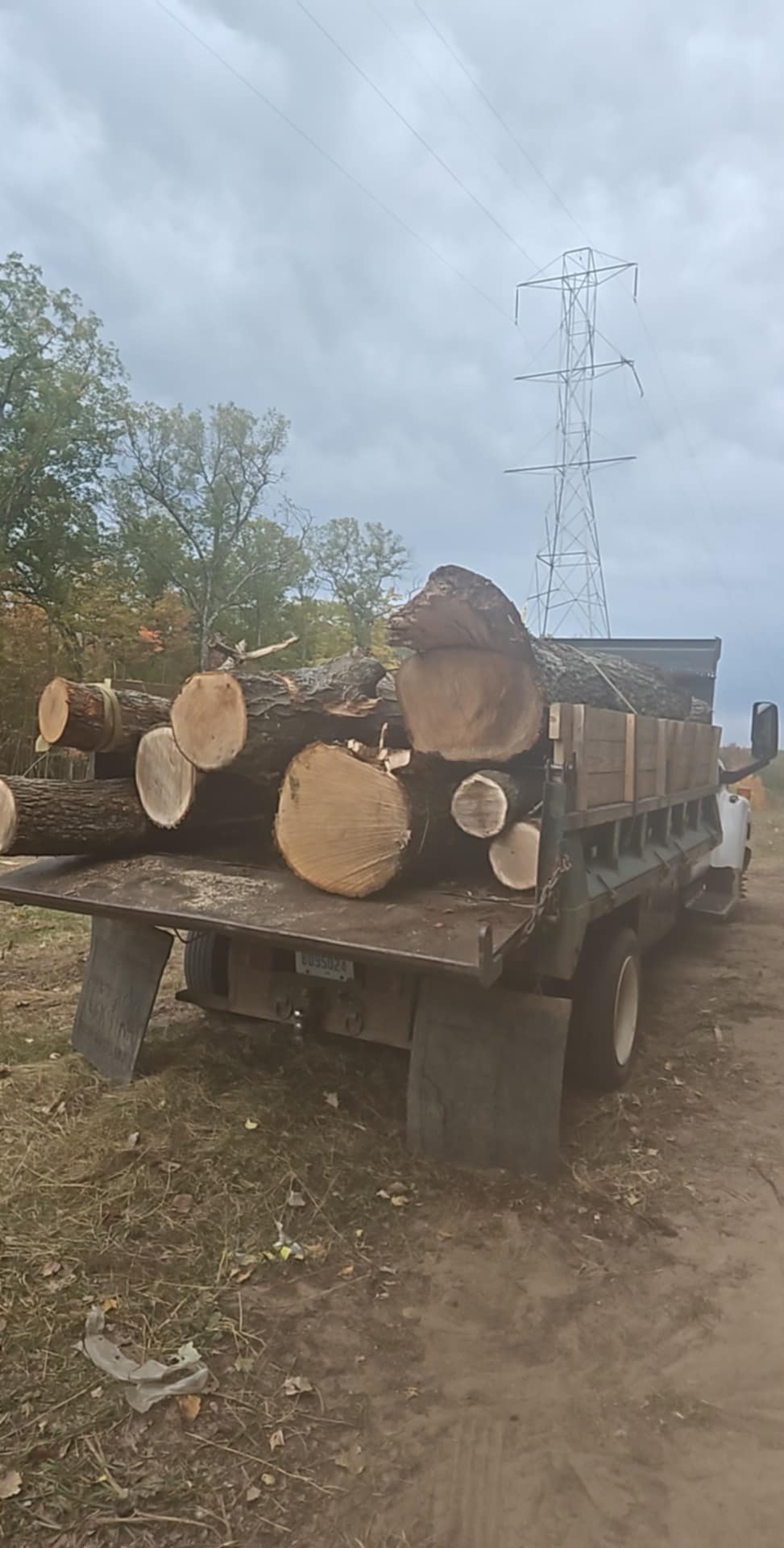 Big J's Firewood logo