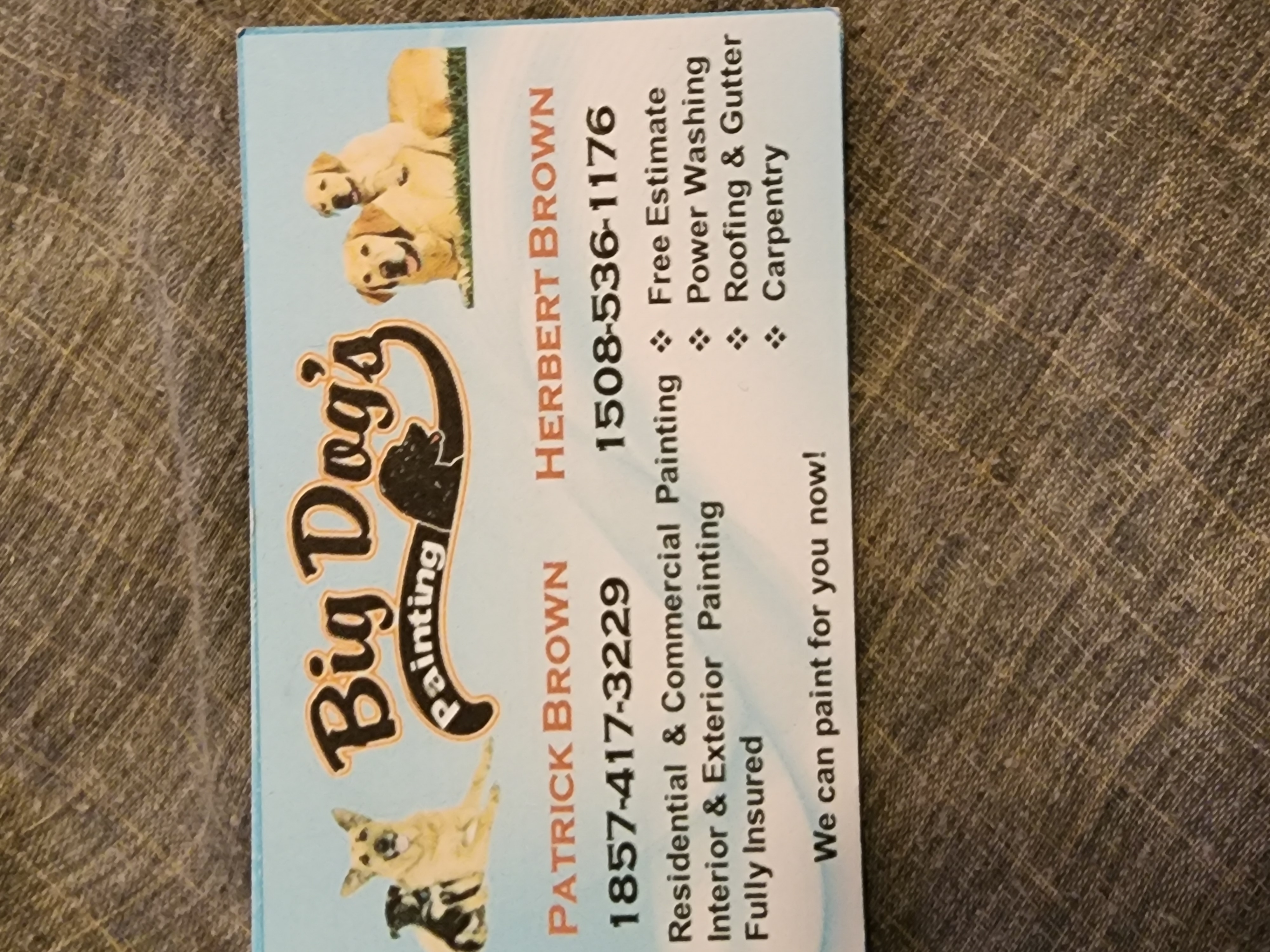 Big Dogs Painting logo