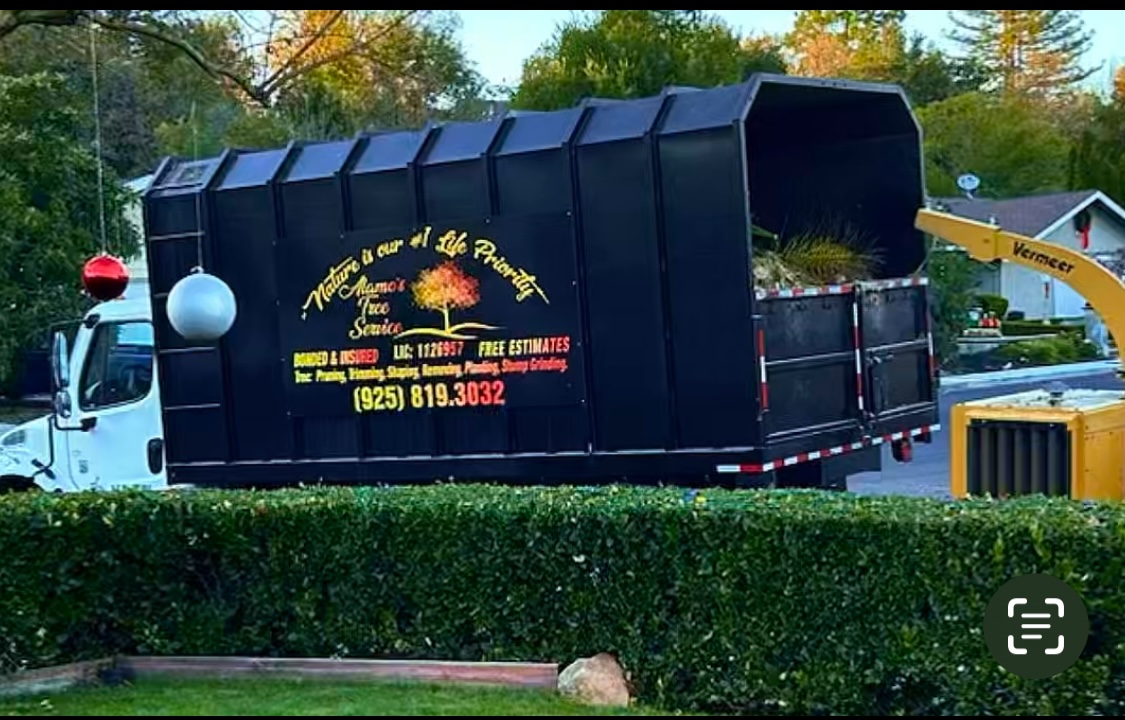 Avatar for Alamo’s Tree Service