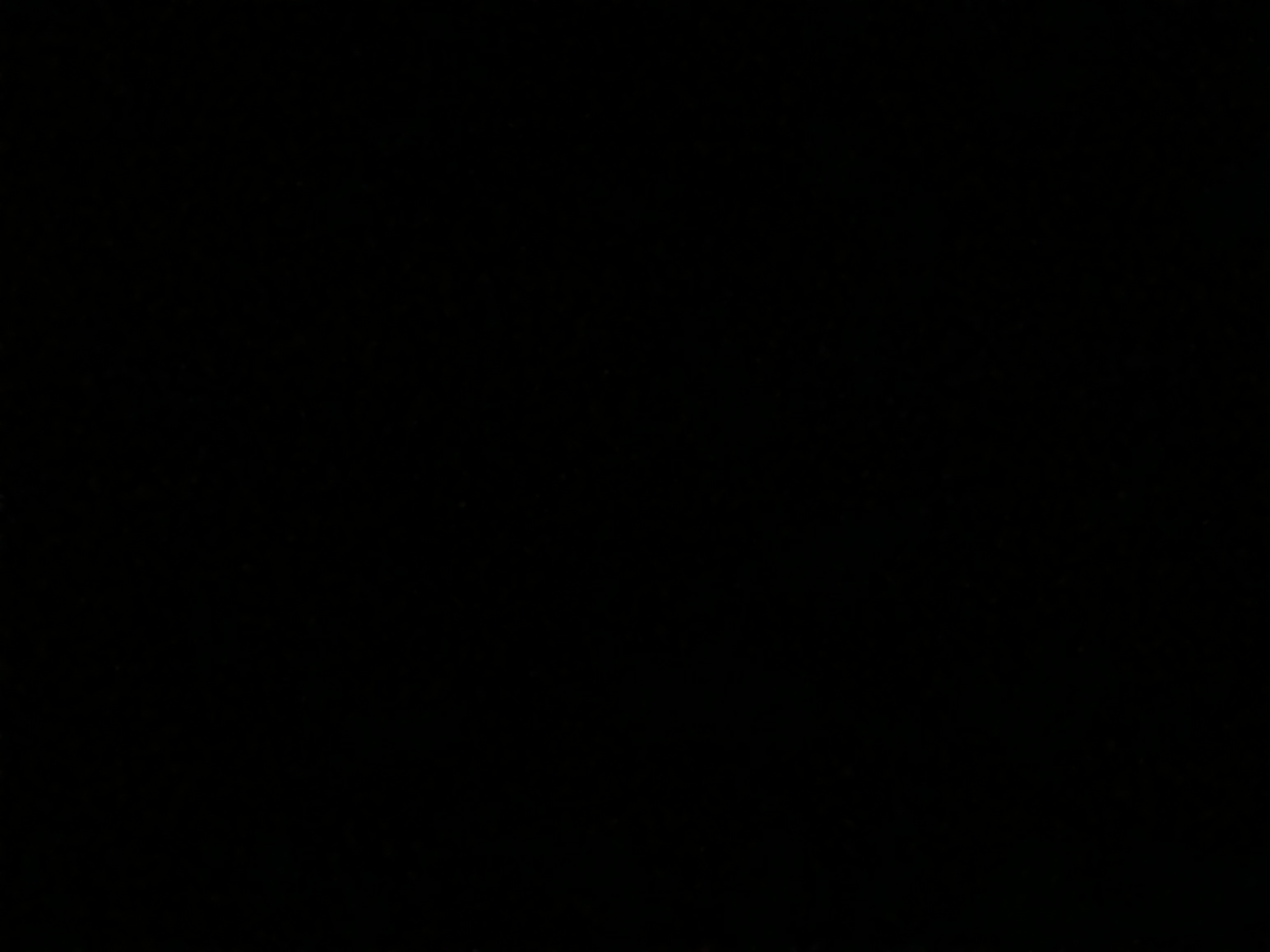 Avatar for CANMANS Construction