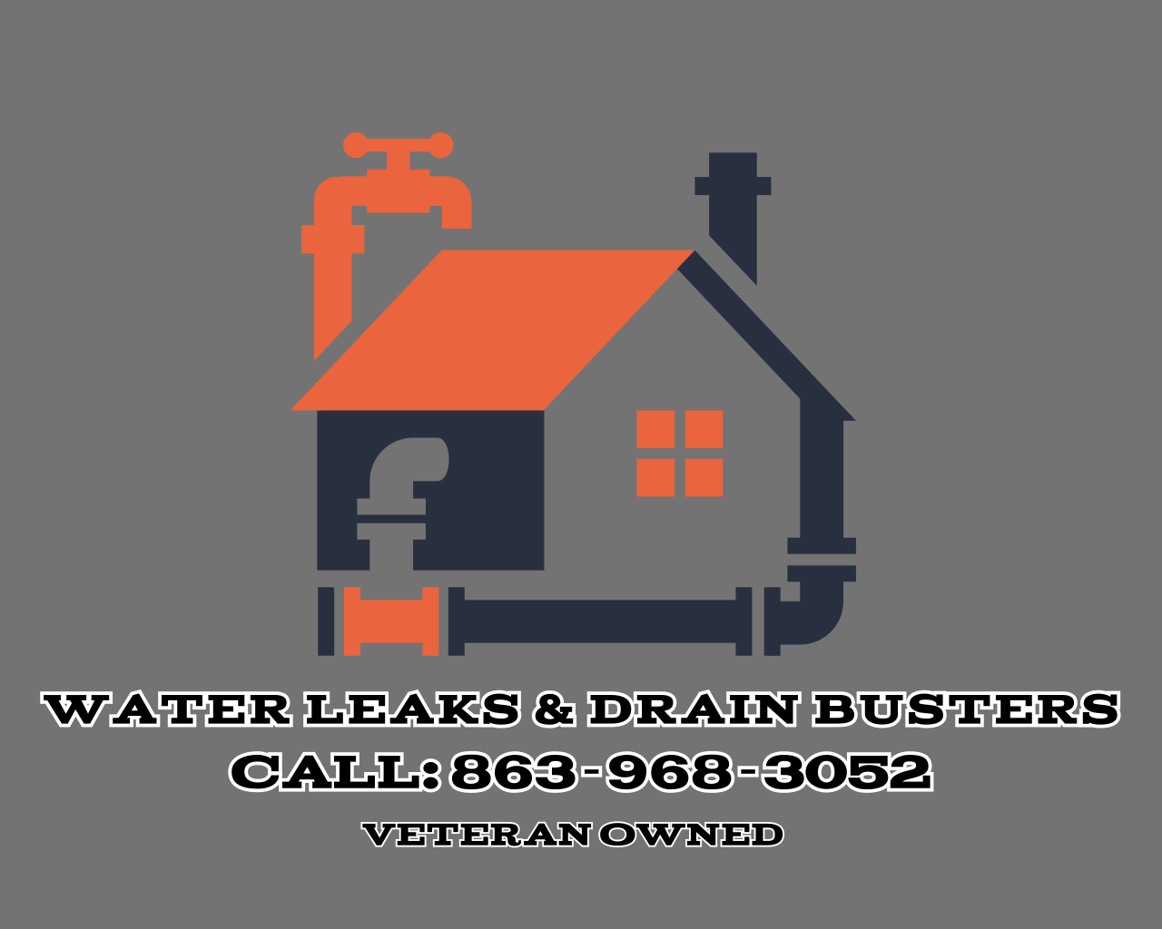 Avatar for WATER LEAKS & DRAIN BUSTERS