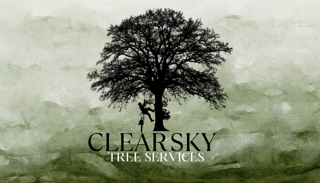 Clear Sky Tree Services logo