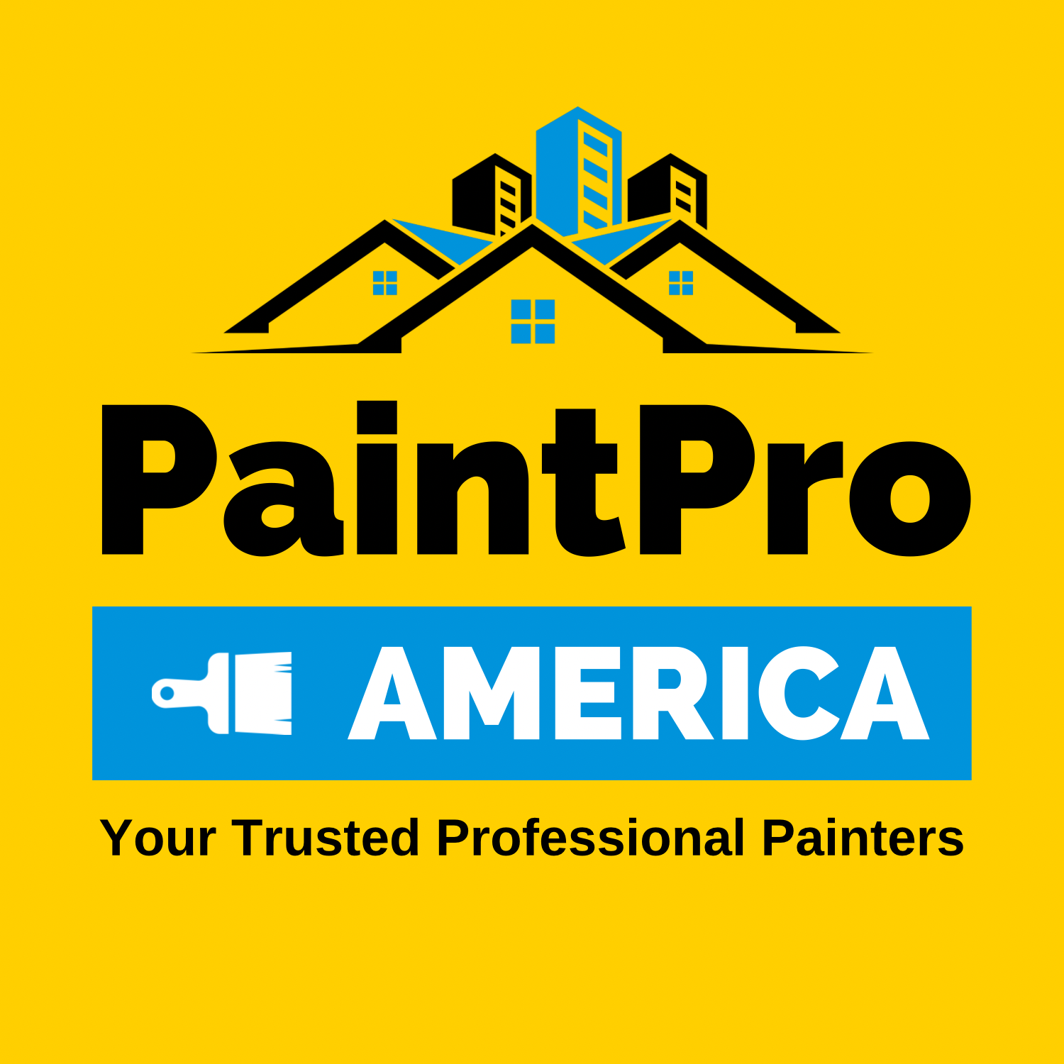 Paint Pro America LLC logo