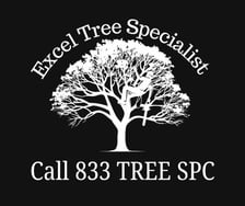 Avatar for Excel Tree Specialist LLC
