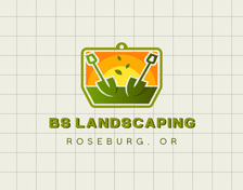 Avatar for BS Landscaping