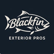 Avatar for Blackfin Exterior Pros LLC