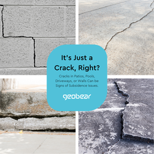 Avatar for GEOBEAR CA LLC