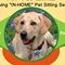 Logo for FOR PET SAKE LLC