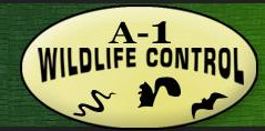 Logo for A-1 Wildlife Control